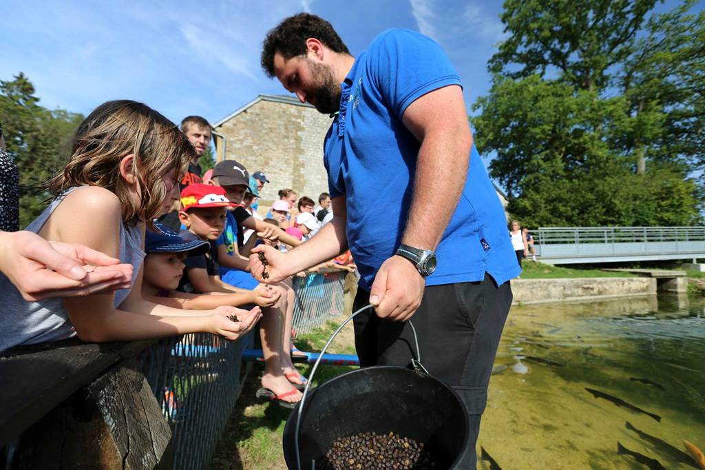 Le Haut-Fourneau du Domaine de Vendresse, Vendresse - photo 3