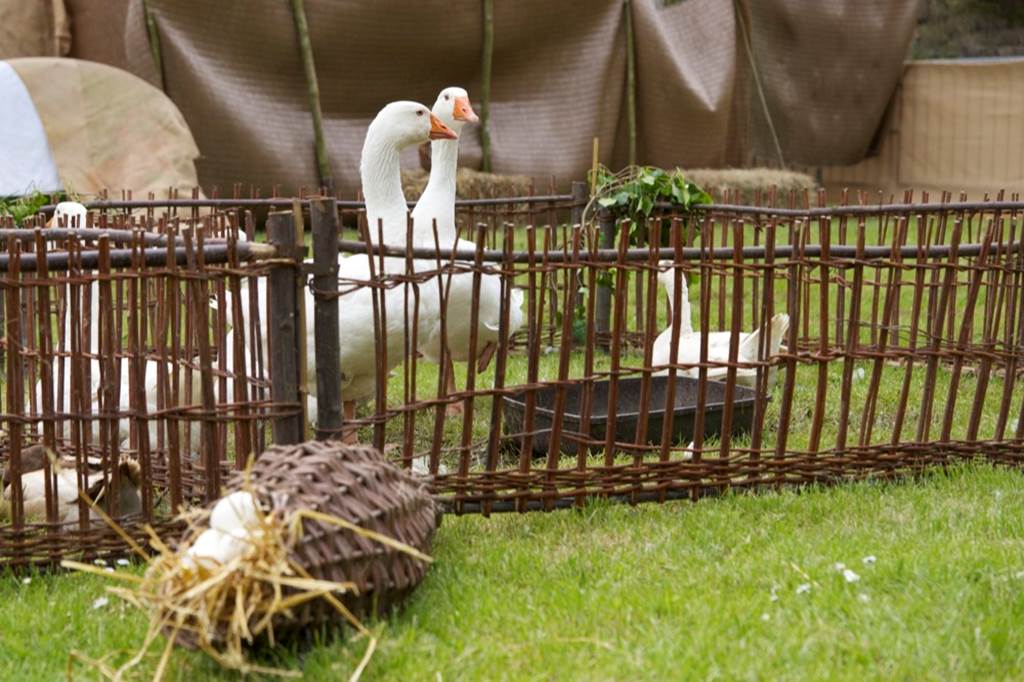 Festival Médiéval de Sedan, Sedan - photo 13
