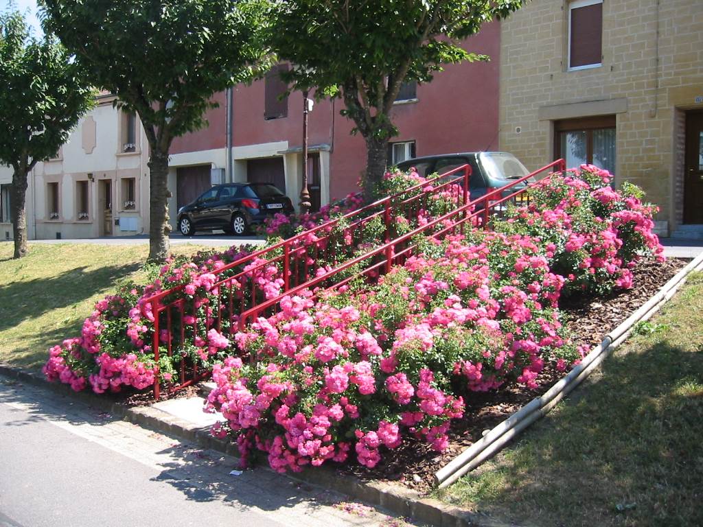 PRIX LES MEZIERES, Village Fleuri "3 Fleurs", Prix-lès-Mézières - photo 4