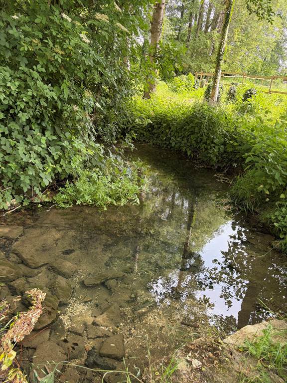 Le Ruisseau chantant, Buzancy - photo 6
