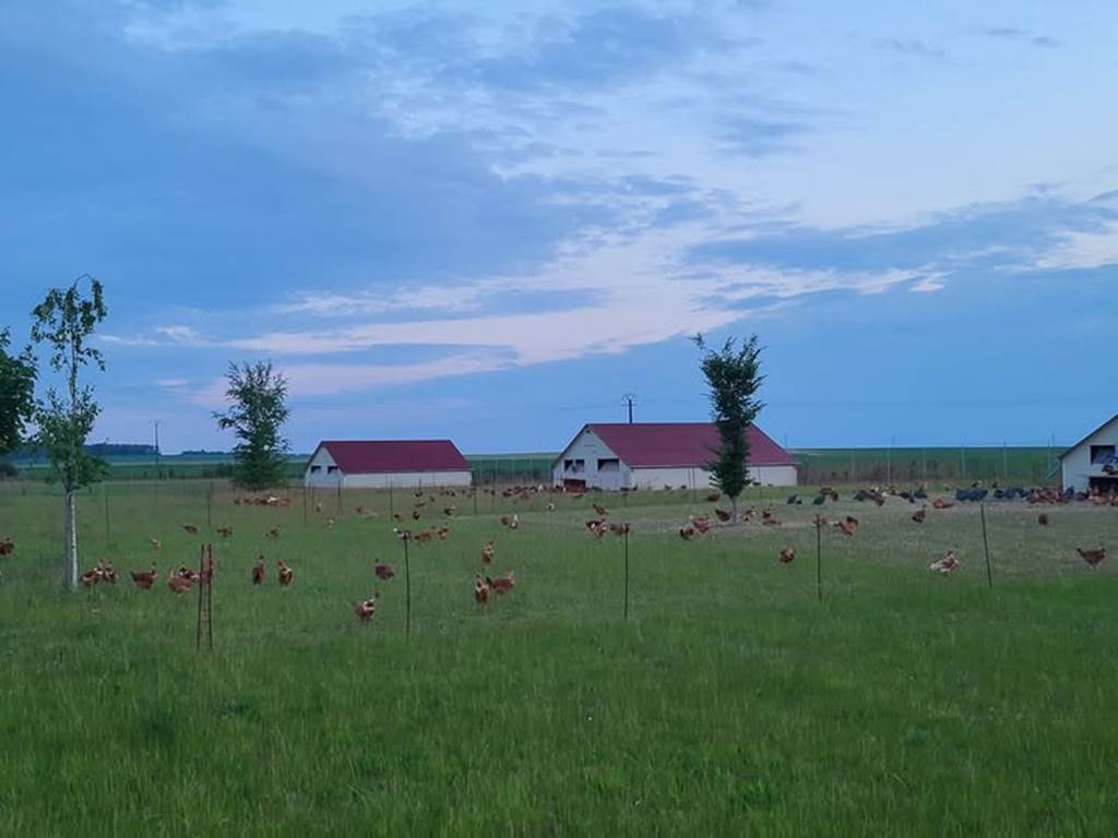 La Basse-cour de l'Ecaille