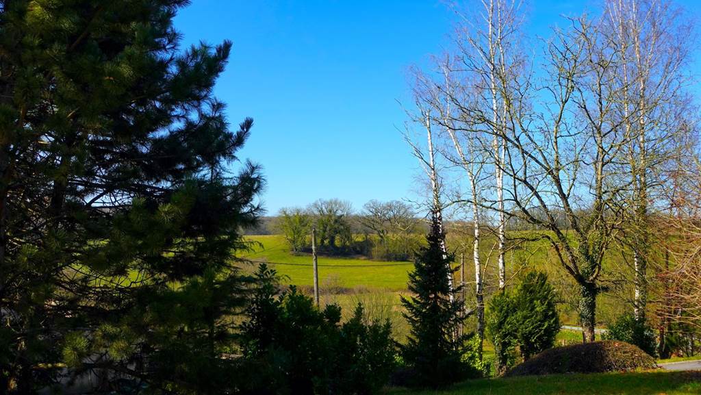Gîte n°518 "UNE HISTOIRE DE FAMILLE", Écordal - photo 28