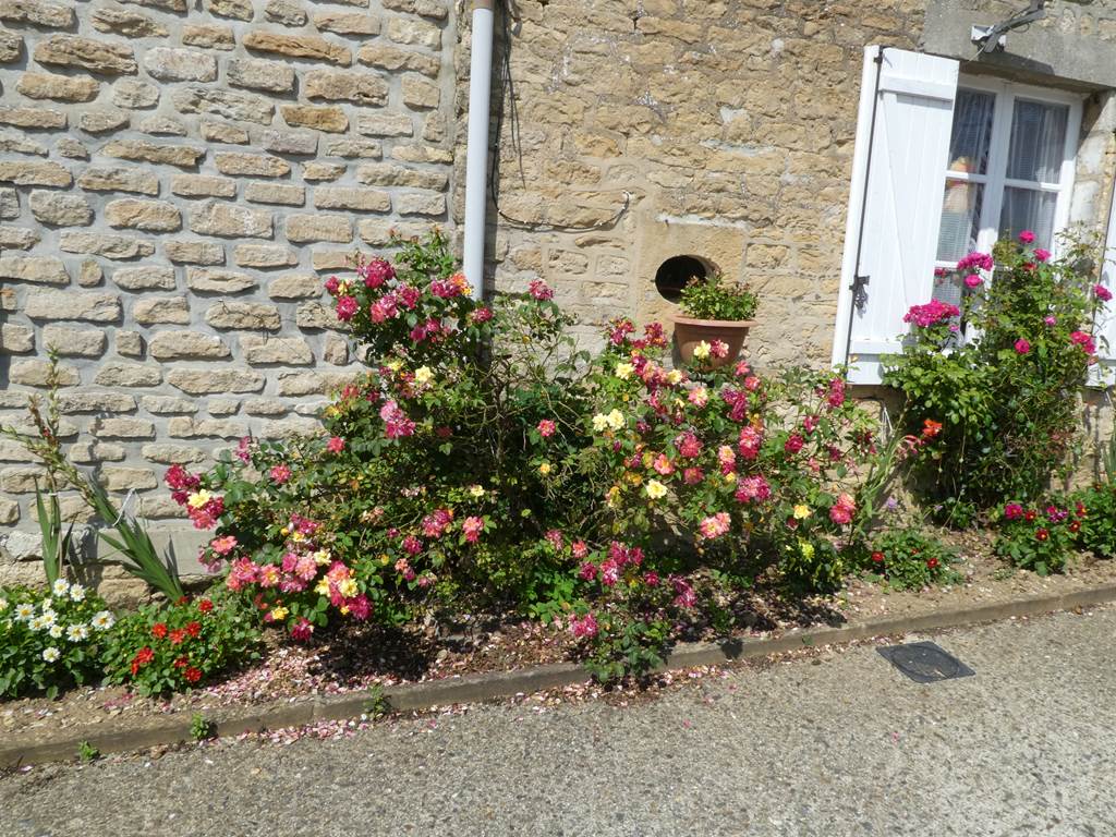 Jandun Village Fleuri "2 Fleurs", Jandun - photo 2