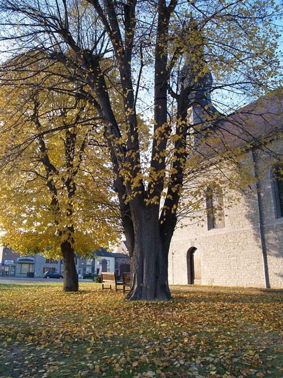 Village de Chooz, Chooz