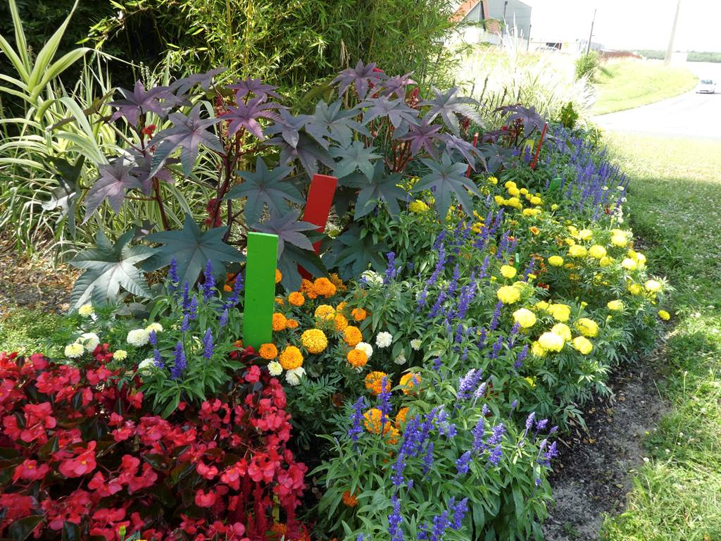 La Neuville-en-Tourne-à-Fuy - Village Fleuri "2 fleurs", La Neuville-en-Tourne-à-Fuy - photo 6
