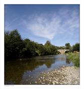Pêche en rivière
