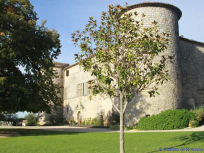 Château de Rousson