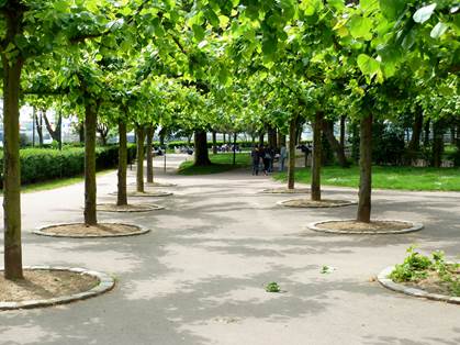 Le jardin de Nausicaà