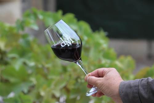 Visite du Vignoble et dégustation de vin