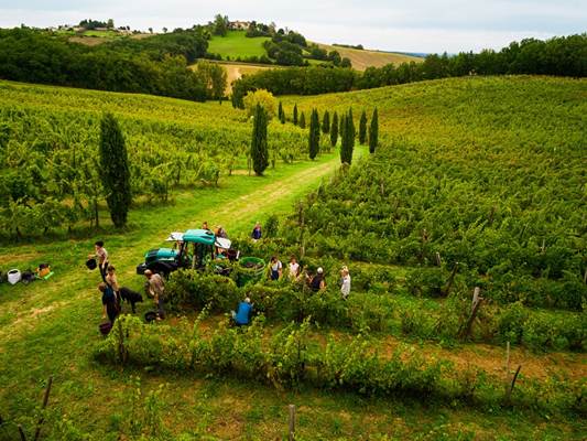 Domaine