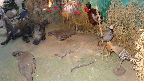 Musée de la Chasse te de la Nature: animaux
