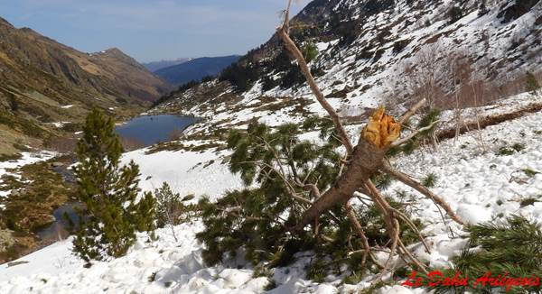 Formation recherche victime d'avalanche- Ariège Pyrénées