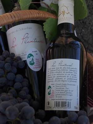 Le vin du Plantaurel du Domaine de Sabarthès