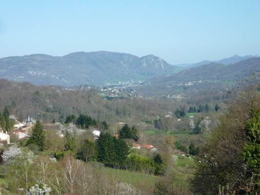 Vue