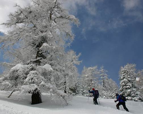 Raquette à neige