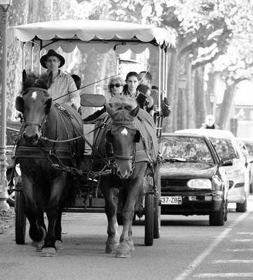Cheval en renes