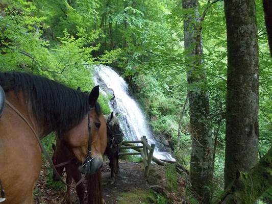 A cheval vers les cascades de Prayols- Ferme Mont Beas
