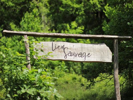 LIEN SAUVAGE