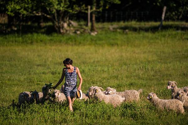 La ferme des Moulis