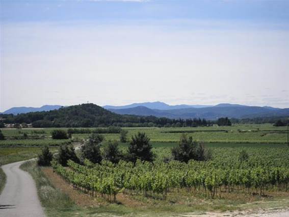 Domaine des Arnasseaux vins des Cévennes