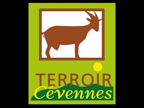 Terroir-Cévennes-Thoiras-5