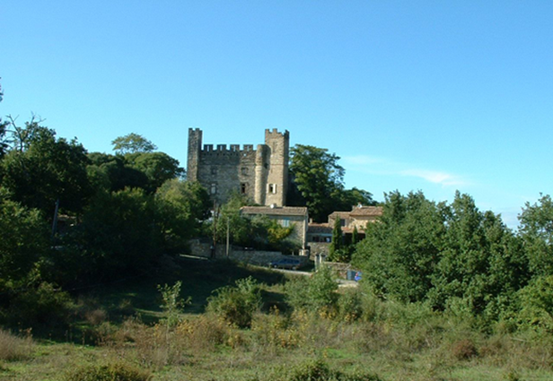 Château de Castelnau Valence