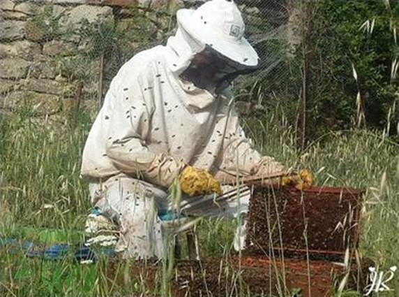 Le grenier aux abeilles Mejannes Les Ales