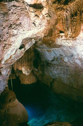 Mialet - Grotte de Trabuc