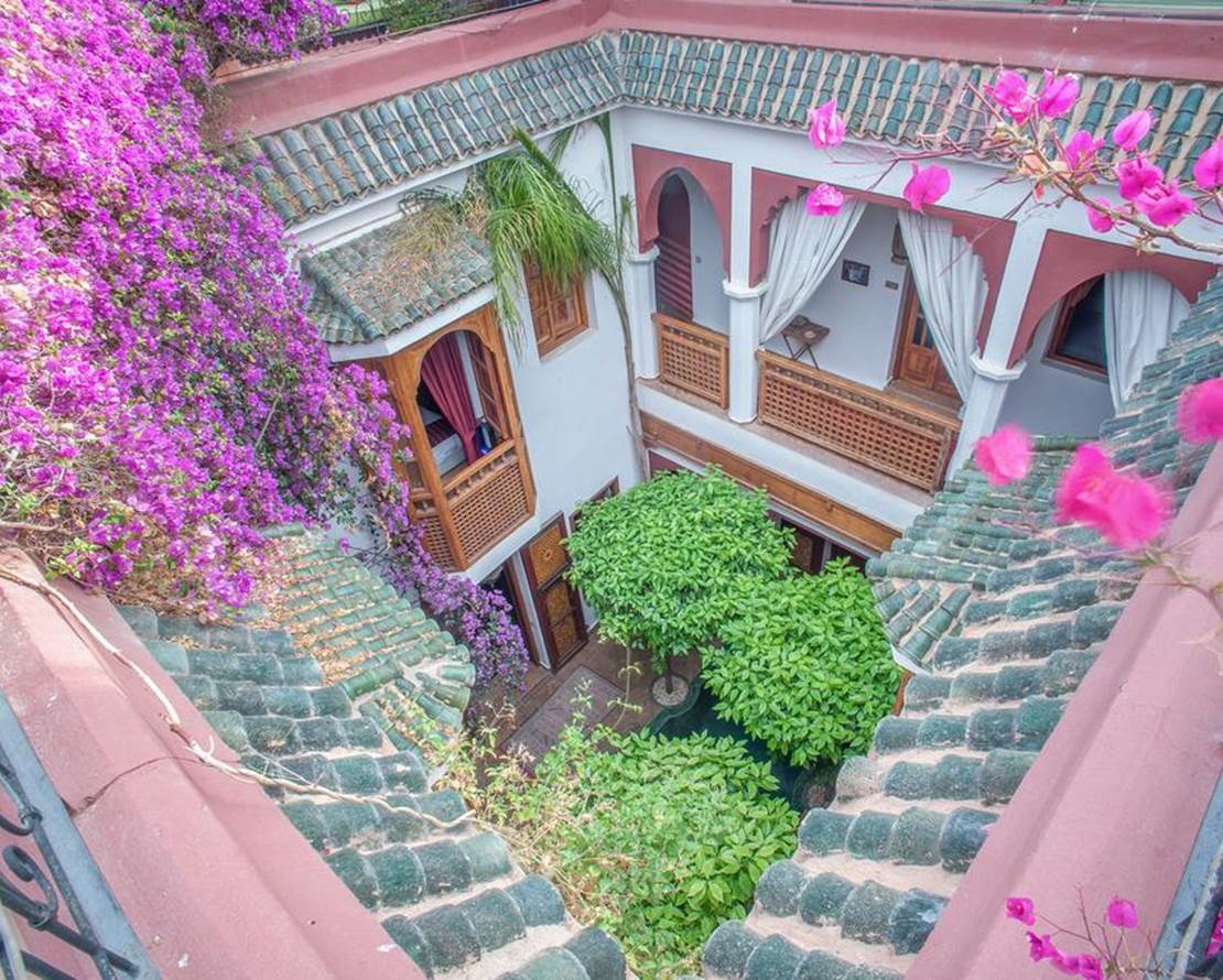Riad Sadaka (4)