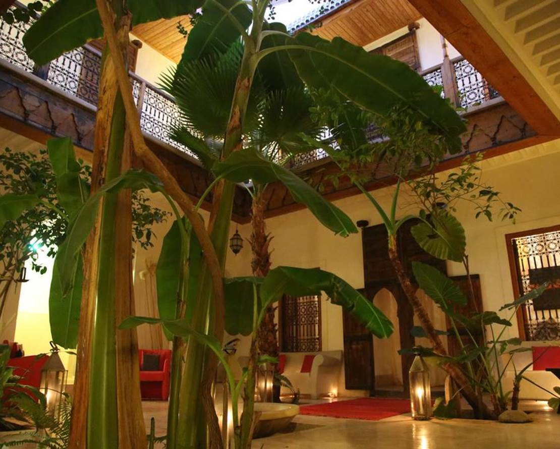 Riad Djebel (1)