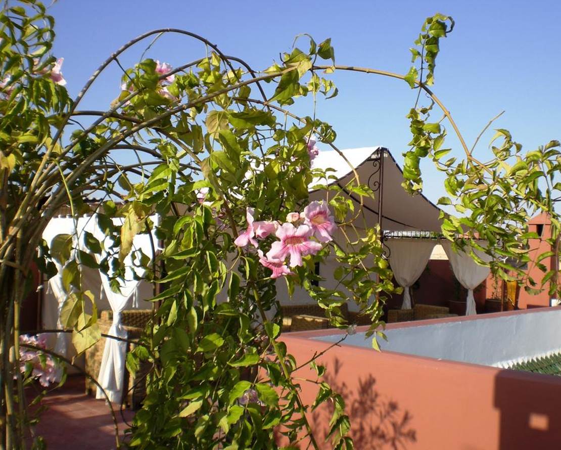 Riad Mariana (4)
