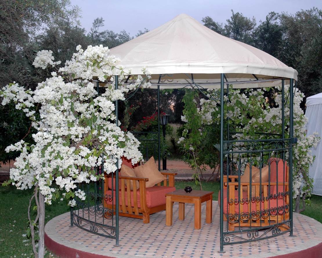 domaine-tarik (2)