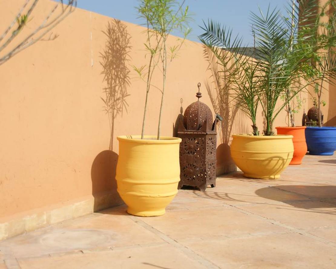 Riad Azenzer (4)