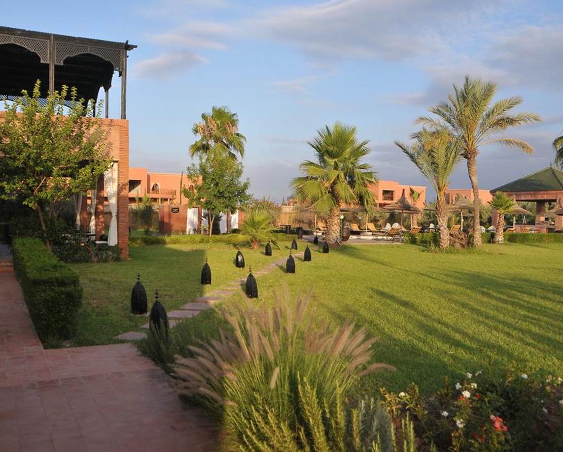 Riad Mhidou (1)