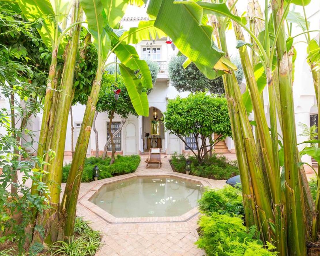 Le Riad Berbère (2)