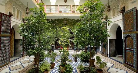 RIAD EL BORJ