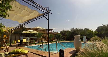 HANDI OASIS