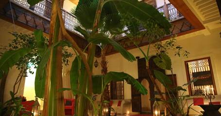 RIAD DJEBEL