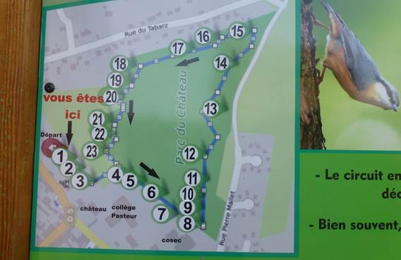 Arboretum de Vrigne Aux Bois
