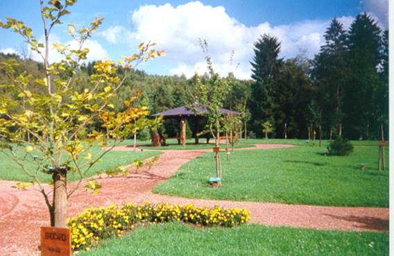 Arboretum de Matton et Clémency