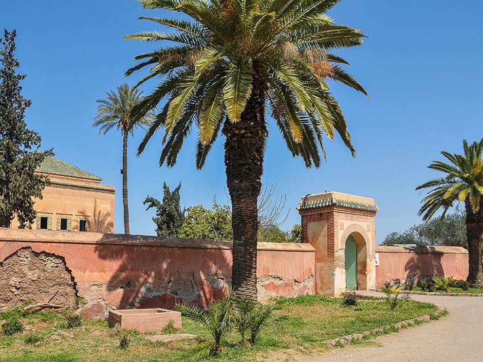 Palmiers et pavillon dans les Jardins de la Ménara