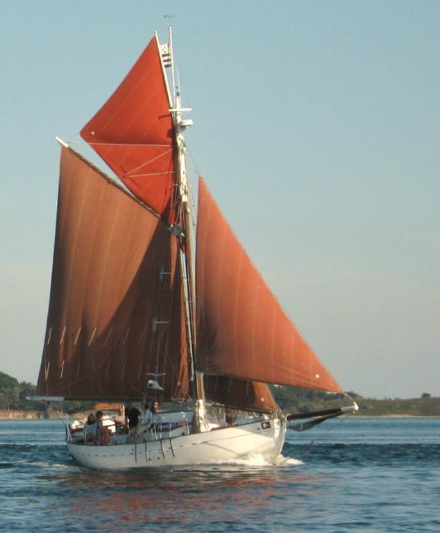 Bételgeuse-arzon-morbihan-bretagne sud