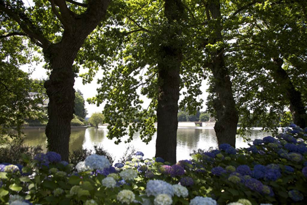 L'Arboretum de l'Hortensia
