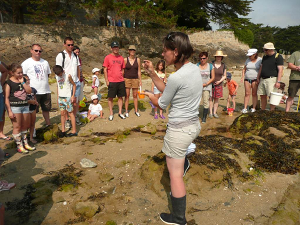 sortie peche a pieds 