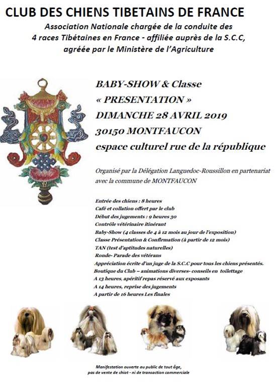Concours des chiens tibétains de France