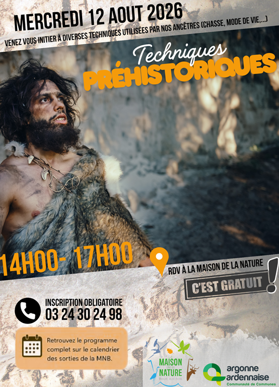Techniques préhistoriques