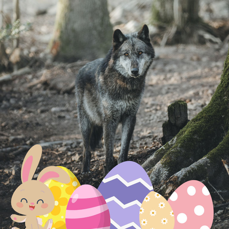 Chasse au trésor spéciale Pâques