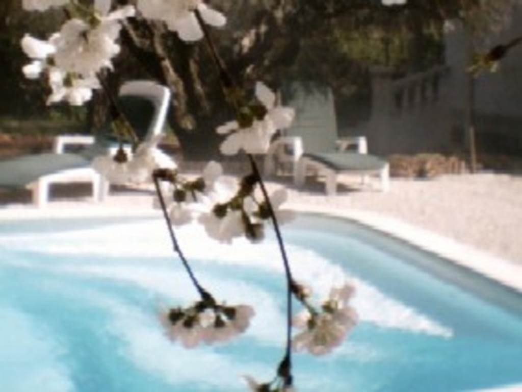 La Chambre Bleue