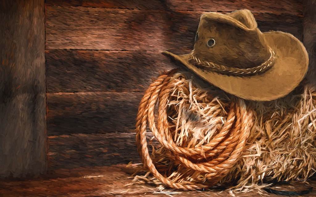 Spectacle : Wild West Women