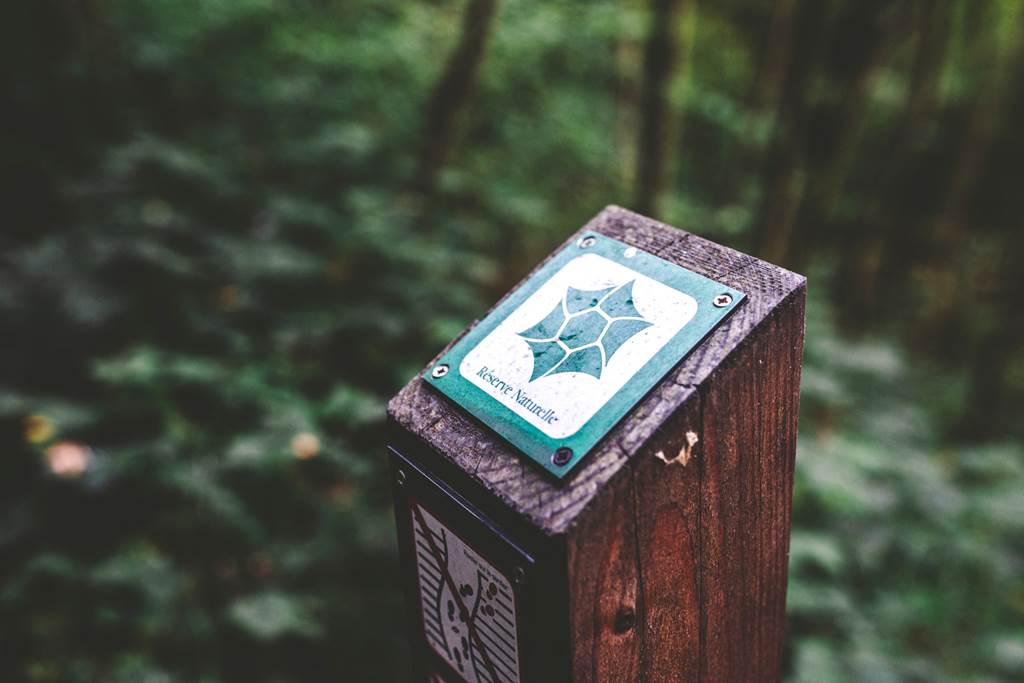Sortie nature : Jeu de piste à la réserve de Bois-en-Val Petites bêtes de la mare